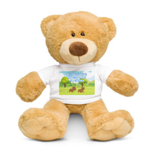 Teddy bear with a t-shirt